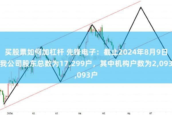 买股票如何加杠杆 先锋电子：截止2024年8月9日，我公司股东总数为17,299户，其中机构户数为2