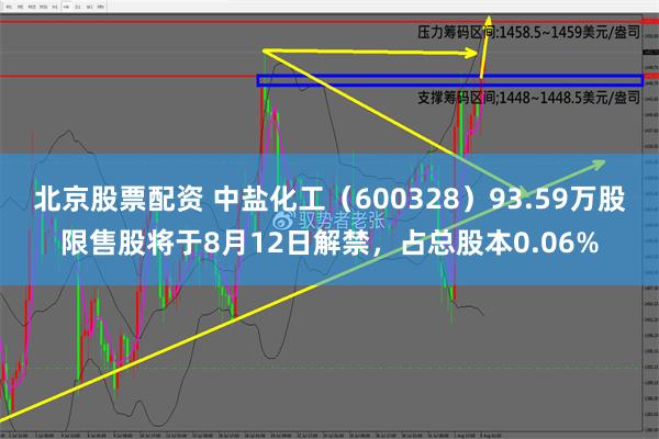 北京股票配资 中盐化工（600328）93.59万股限售股将于8月12日解禁，占总股本0.06%