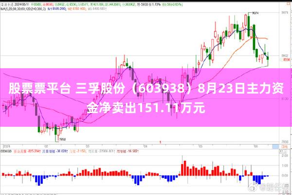 股票票平台 三孚股份（603938）8月23日主力资金净卖出151.11万元