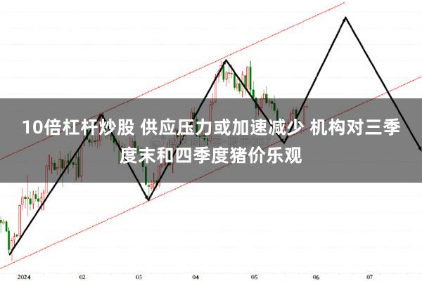 10倍杠杆炒股 供应压力或加速减少 机构对三季度末和四季度猪价乐观