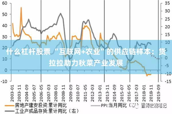 什么杠杆股票 “互联网+农业”的供应链样本：货拉拉助力秋菜产业发展