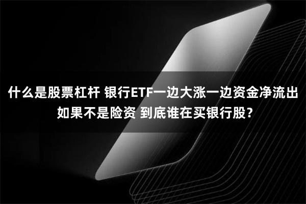 什么是股票杠杆 银行ETF一边大涨一边资金净流出 如果不是险资 到底谁在买银行股？