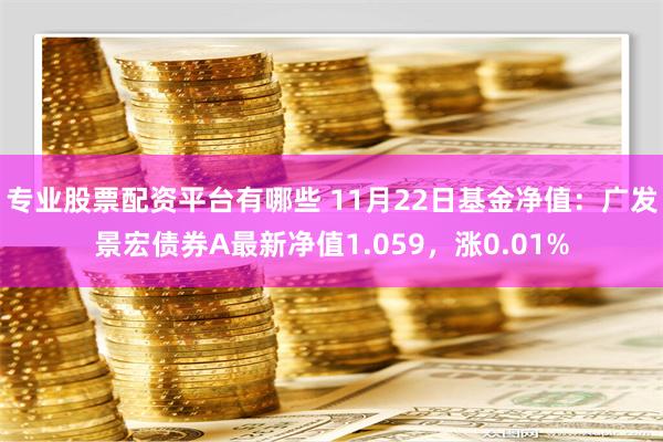 专业股票配资平台有哪些 11月22日基金净值：广发景宏债券A最新净值1.059，涨0.01%